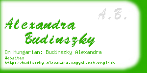 alexandra budinszky business card